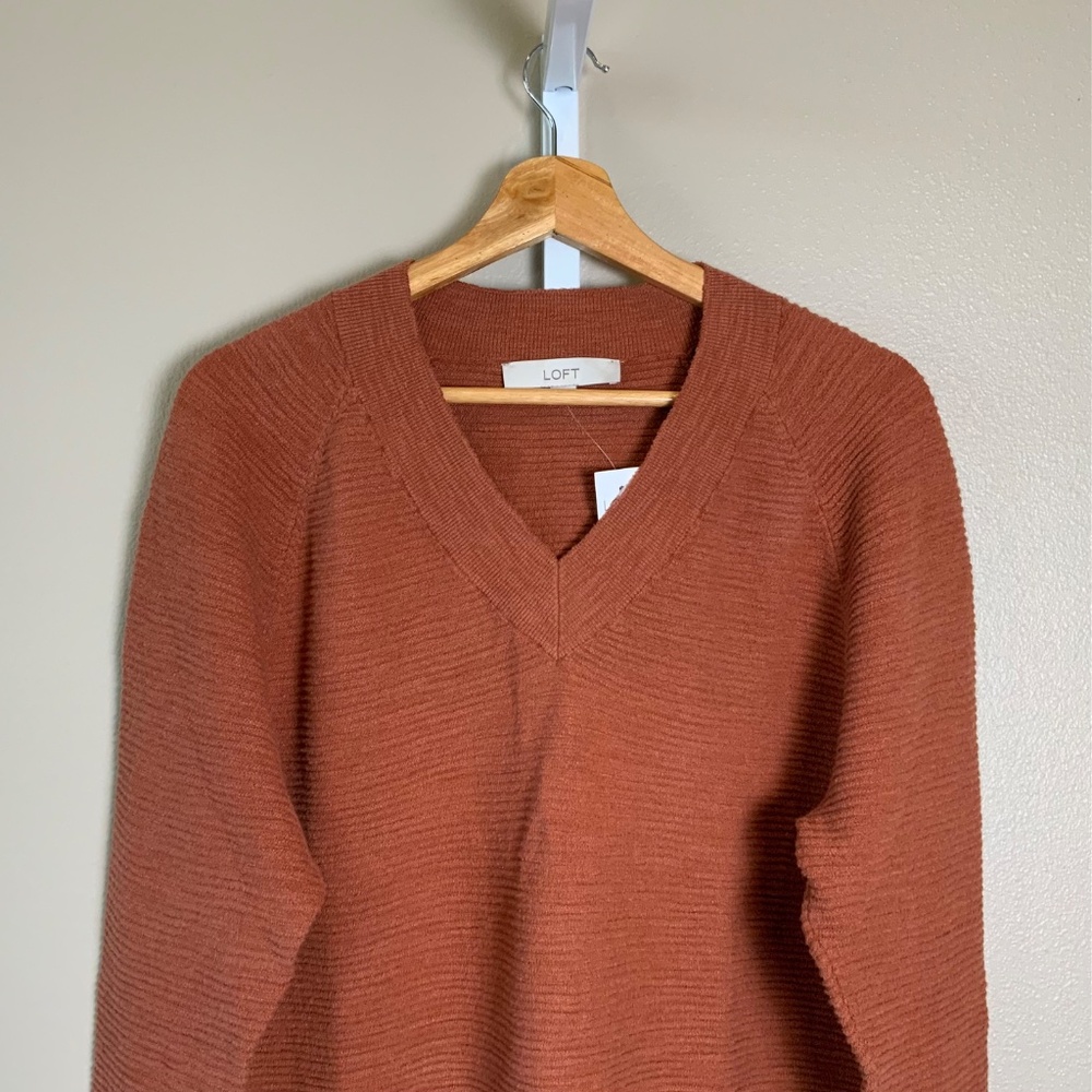 LOFT Raglan V-Neck Sweater - Picture 5 of 16